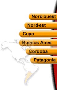 Selección