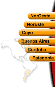 Selección